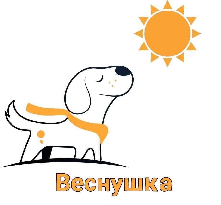 Зоозащитная акция «Веснушка».